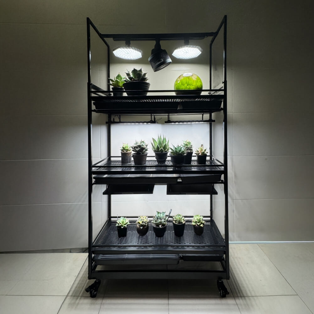 Linea Flora – GIOCOSO-STORE