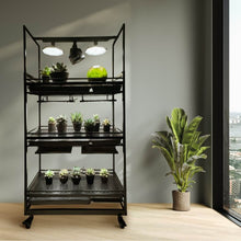 画像をギャラリービューアに読み込む, Linea Flora プランツラック