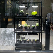 画像をギャラリービューアに読み込む, Linea Flora プランツラック