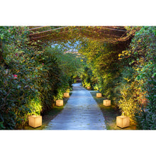 画像をギャラリービューアに読み込む, G-005-A