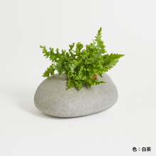 画像をギャラリービューアに読み込む, G-013-U