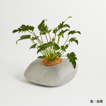 画像をギャラリービューアに読み込む, G-013-U