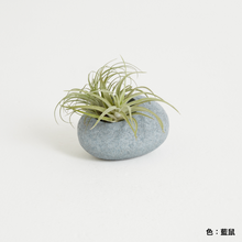 画像をギャラリービューアに読み込む, G-014-U