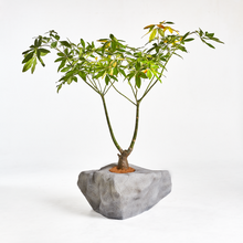 画像をギャラリービューアに読み込む, G-001-U