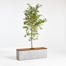 画像をギャラリービューアに読み込む, G-003b-U