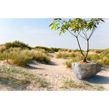 画像をギャラリービューアに読み込む, G-001-U