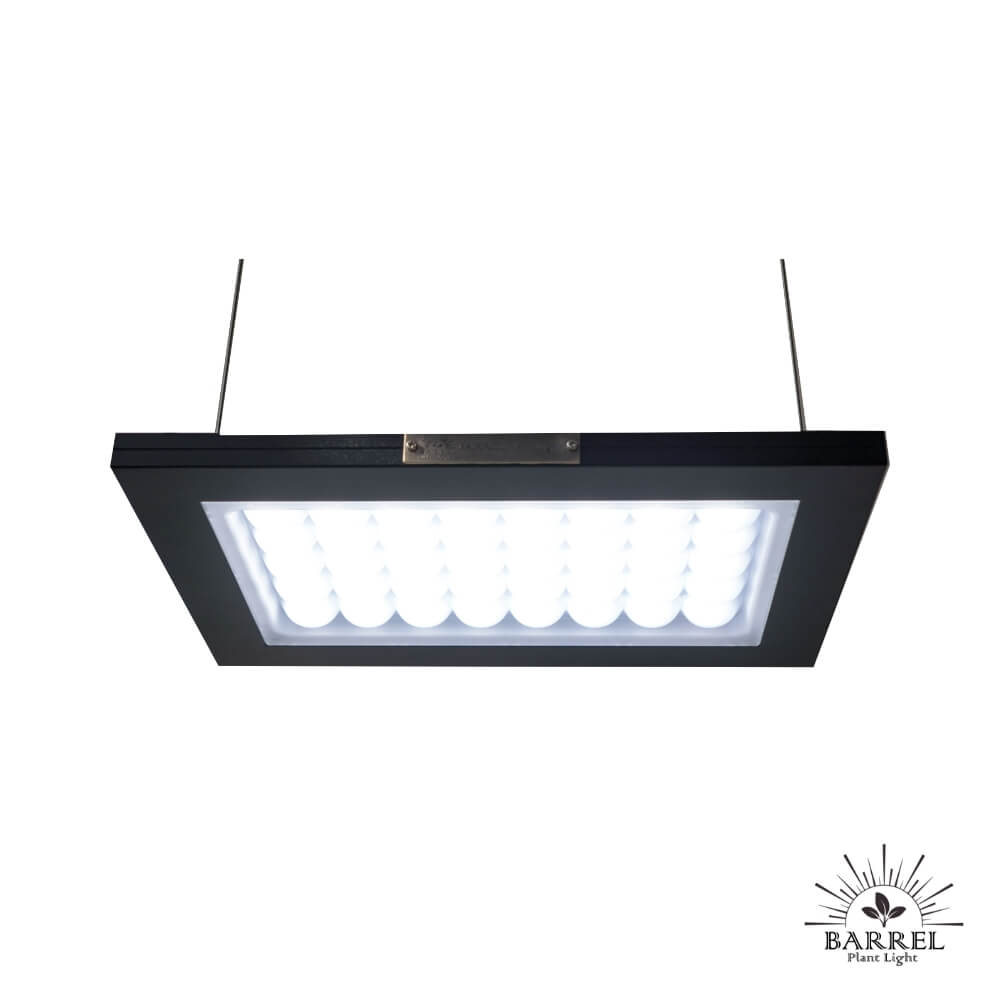 ROKI-350 – GIOCOSO-STORE